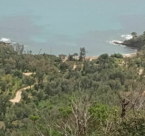 Cap benat-Cabasson - Bormes-les-Mimosas - 3