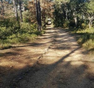 Circuit La Duranne Petit Arbois - Aix-en-Provence - 2