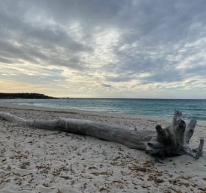 Balade d’Avril, ventée aux plages de Bodre et Ghjunchetu ️ - Corbara - 4