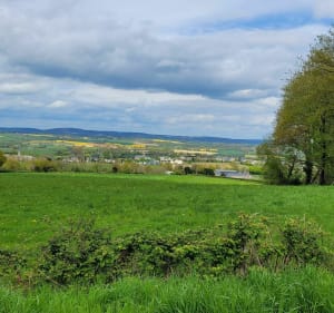 Balade autour de Torcé-Viviers-en-Charnie - Torcé-Viviers-en-Charnie - 2