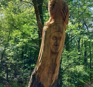 Rando sur les hauts de Poisat - Bruno - 3