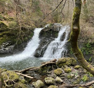 Cascades de Chiloza au départ de Besse - Besse-et-Saint-Anastaise - 2