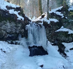 Rond de bodem van Alagnon met een omweg naar de buron van Meje Coste - Laveissière - 2