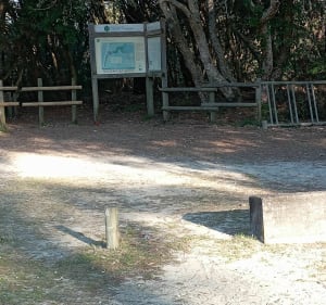 Entre forêt et plage au près de Léon - Moliets-et-Maa - 3