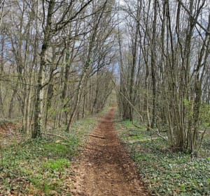 Superbe randonnée de Leyr, Malleloy, Villers les Moivrons - Leyr - 2