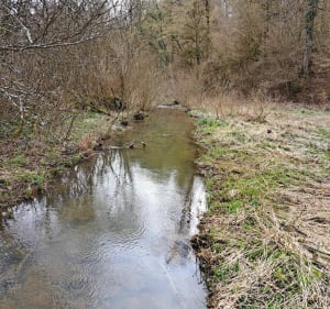 Balade tranquille Trieux- Fontoy - Trieux - 4