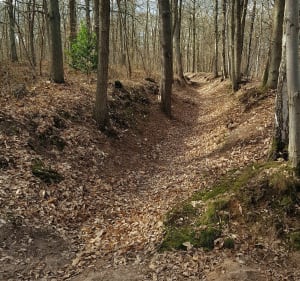 Balade dans la forêt de Meudon - Meudon - 2