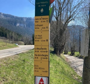 Belle balade au bois des Mûres - Lans-en-Vercors - 2