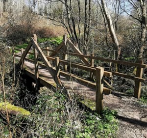 Sentier de la Converserie - Saint-Étienne-au-Mont - 2