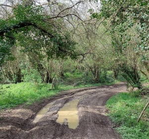 Entre Aubevoye et Villers-sur-le-Roule - Le Val-d'Hazey - 2