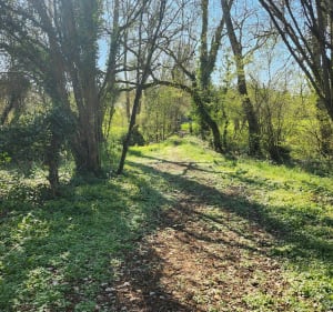 Petite balade autour de Villiers au Bouin - Villiers-au-Bouin - 2