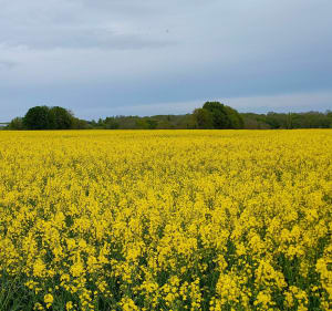 Randonnée à Pringy - Nicolas - 3