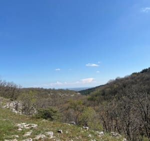 Les hauts de la Combe de Fixey et Combe Laveau - Océane - 4