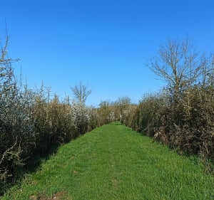 Randonnée nature dans la vallée du Lys - Azay-le-Rideau - 3