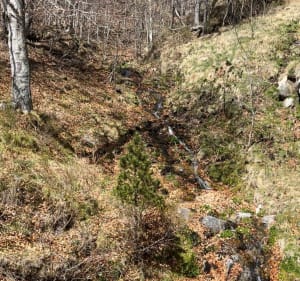 Boucle de la Réserve Naturelle à Prats-de-Mollo-la-Preste - K2METGE - 4