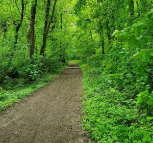 Balade du parc du Perray - Sainte-Geneviève-des-Bois - 2