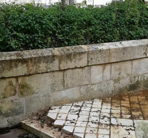 Autour de Nieul-lès-Saintes - Nieul-lès-Saintes - 2