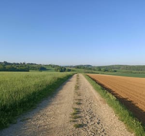 La forêt de l'Argançon par les chemins - Saint-Cyr-Montmalin - 2