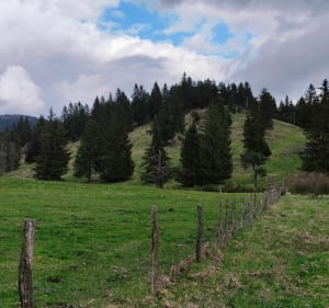 Nebouzat au coeur des volcans - Nébouzat - 4