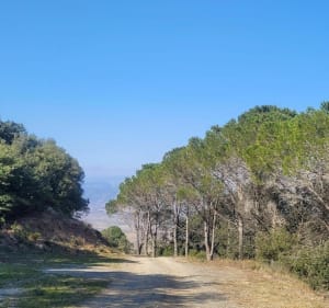 Rando au départ de Montner - Montner - 2