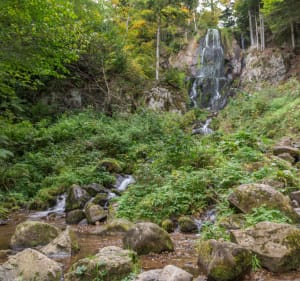 La cascade du Hohwald par le Col du Kreuzweg - Le Hohwald - 2