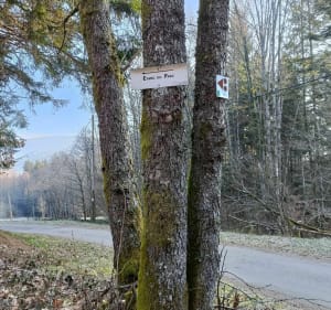 Korte familiewandeling in Fresse-sur-Moselle - Fresse-sur-Moselle - 2