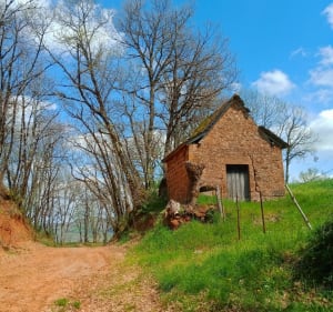 Belle balade au dessus de Saint Christophe Vallon - Marcillac-Vallon - 2