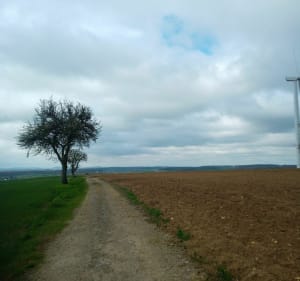 Gravel entre Halstroff et Silwingen en Allemagne à vélo - Halstroff - 2