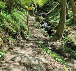 Marche Conflans forêt de Rhonne oratoire de Grignon - Mickael - 2