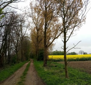 Belle balade autour de Mesnil - Mesnil-Martinsart - 2