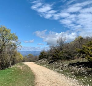 Sur les crêtes du Luberon - Lourmarin - 2