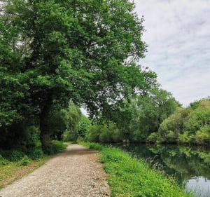 Circuit entre Lacs et Marais - Denis - 3