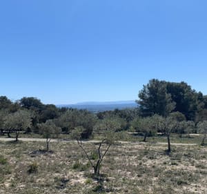 D'Éguilles au domaine Saint-Martin - Éguilles - 5