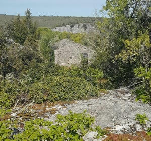 Les dolmens et le plateau de Labeaume au départ de Rioms - Ruoms - 2