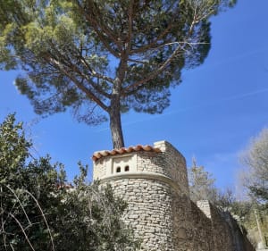De Buoux à Sivergues le long de l'Aigue Brun - Buoux - 4