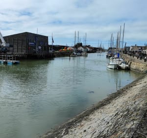 Promenade le long du port et des marais de Noirmoutier - Noirmoutier-en-l'Île - 2