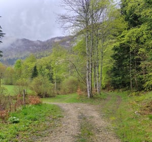 Petite boucle au-dessus de Mont-Saint-Martin - Mont-Saint-Martin - 2