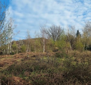 Tour de Mitzach - Mitzach - 2