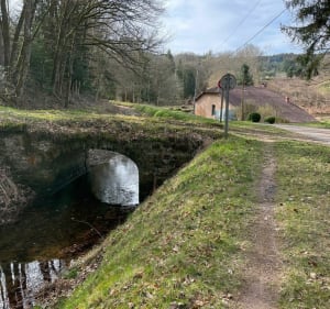 Sur les hauts de Laménil - Arches - 2