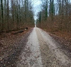 Ballade pour VTC autour du petit Colmont - Fontoy - 2
