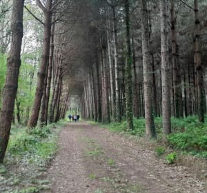 Rando à Saint Père en Retz - Joel - 2