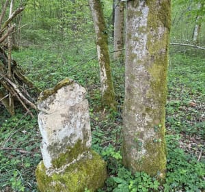 En terre du "Vent des Forêts" - Nicey-sur-Aire - 3