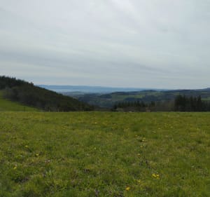 Promenade de Saint-Georges-Haute-Ville - Saint-Georges-Haute-ville - 2