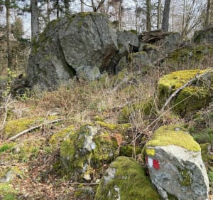 Balade au Piton du Falkenstein - Grendelbruch - 2