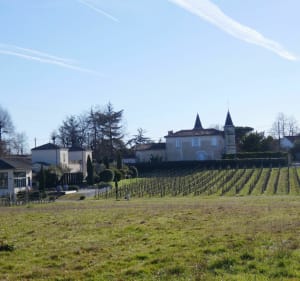 Balade autour de Latresne et Cénac - Cenac - 2