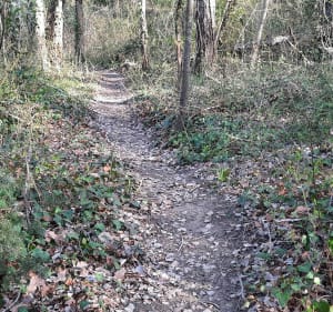 Balade le long du Lez et son sous bois - Bouchet - 2