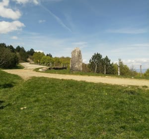 Randonnée au Mont Aigoual - Val-d'Aigoual - 4