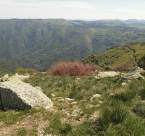 Wandelen naar Mont Aigoual - Val-d'Aigoual - 2