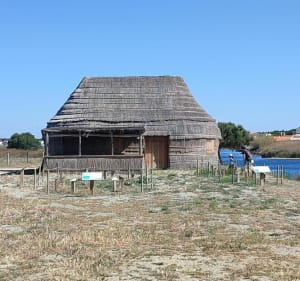 Le Barcarès - Parc des Dosses - Le Barcarès - 5