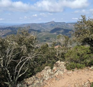 Pic de l'Ours depuis le col des Lentisques et découverte de l'Estérel - Saint-Raphaël - 2